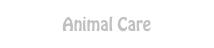 Animal Care